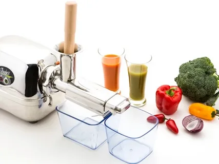 Angel 8500S Twin Gear Juicer